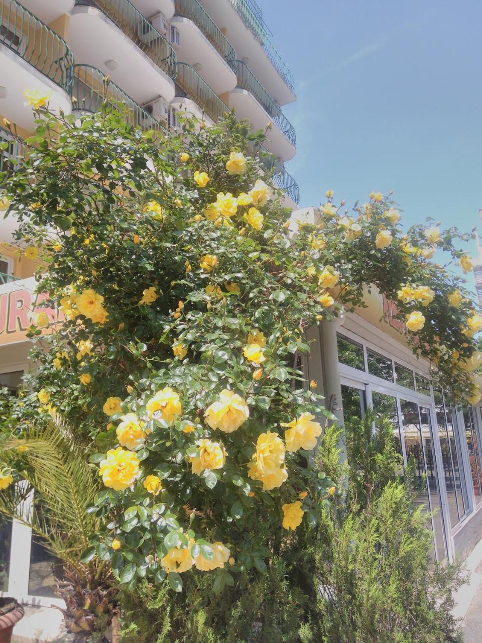 Hotel Yantra Sunny Beach Exterior photo